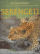 Obálka knihy Serengeti