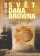 Obálka knihy Svět Dana Browna
