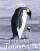 Obálka knihy Putování tučňáků - National Geographic