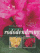 Obálka knihy Stálezelené rododendrony