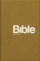 Obálka knihy Bible 21