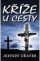 Obálka knihy Kříže u cesty