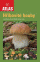 Obálka knihy Hřibovité houby