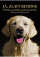Obálka knihy Já, zlatý retrívr - Příběhy psa Tedíka a jeho kamarádů